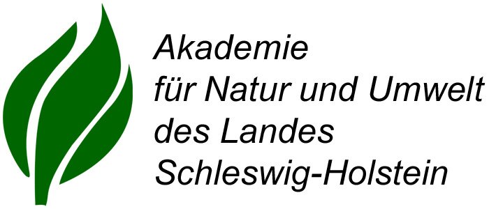 Fenster schlieen